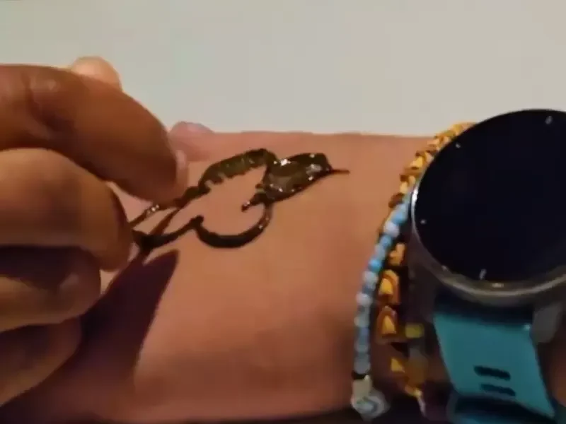 Safari di Mattina con Spettacolo di Falconeria